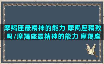 摩羯座最精神的能力 摩羯座精致吗/摩羯座最精神的能力 摩羯座精致吗-我的网站